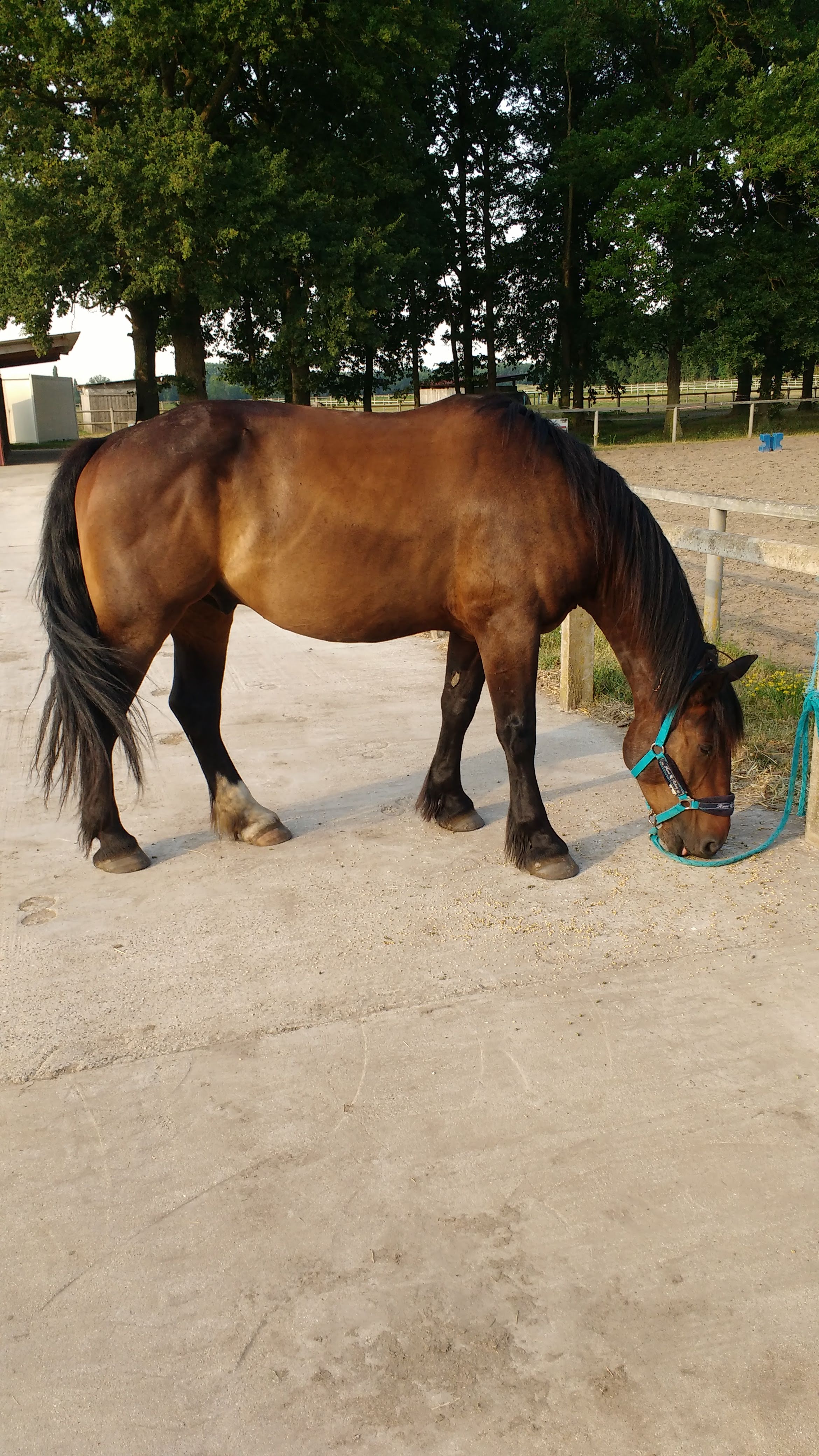 Photo n° 12 de l'avis de philippe.a fait le 14/03/2019 à 08:38