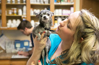 Aspen Grove Veterinary Care - Photo 4 - Car repair in Fort Collins, CO, Fort Collins