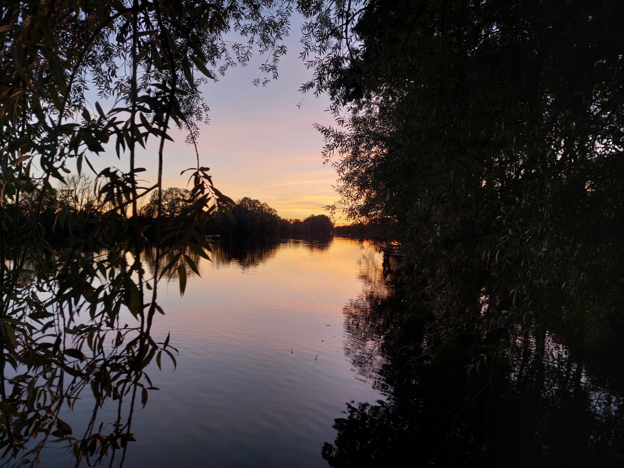 Photo n° 6 de l'avis de Jörg.. fait le 05/10/2021 à 12:00