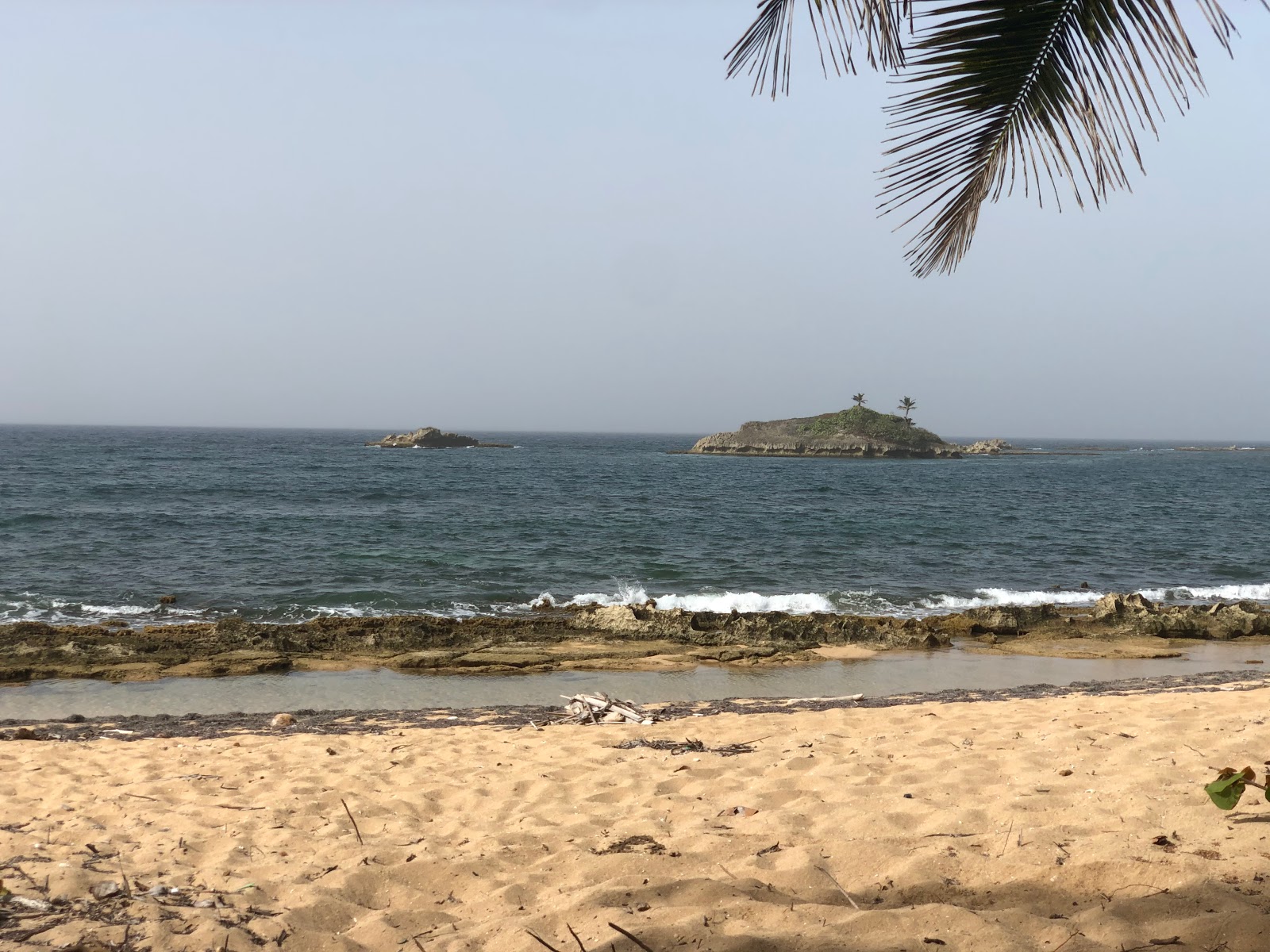 Punta Cibuco beach'in fotoğrafı doğal alan içinde bulunmaktadır