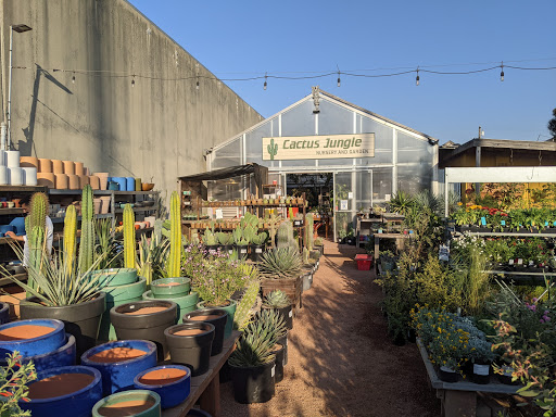Cactus Jungle Nursery and Garden