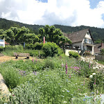 Photo n°2 de l'avis de Susanne. fait le 06/06/2023 à 09:22 sur le  Landgasthof Grüner Baum Sehringen à Badenweiler