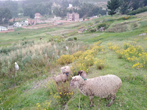 Microcemento La Paz