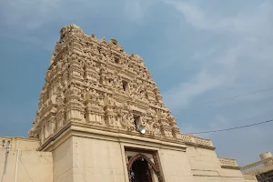 Sri Ranganayaka Swamy Temple image
