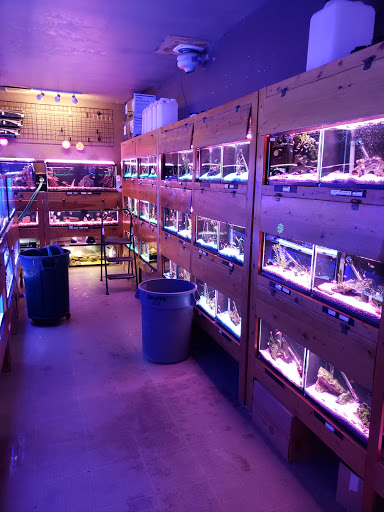 Pet Store «Animal Attraction», reviews and photos, 2518 11th Ave, Greeley, CO 80631, USA