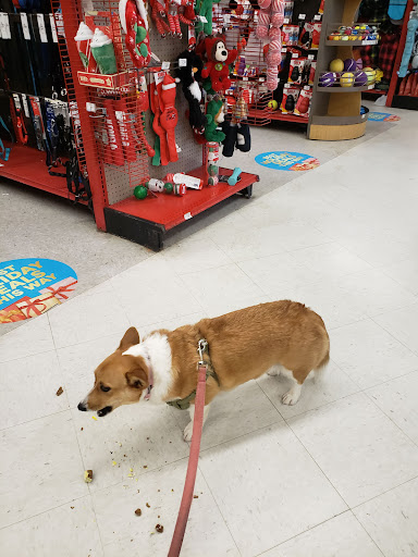Pet Supply Store «Petco Animal Supplies», reviews and photos, 4491 Kirkwood Hwy, Wilmington, DE 19808, USA