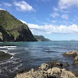 Omanawanui Track carpark