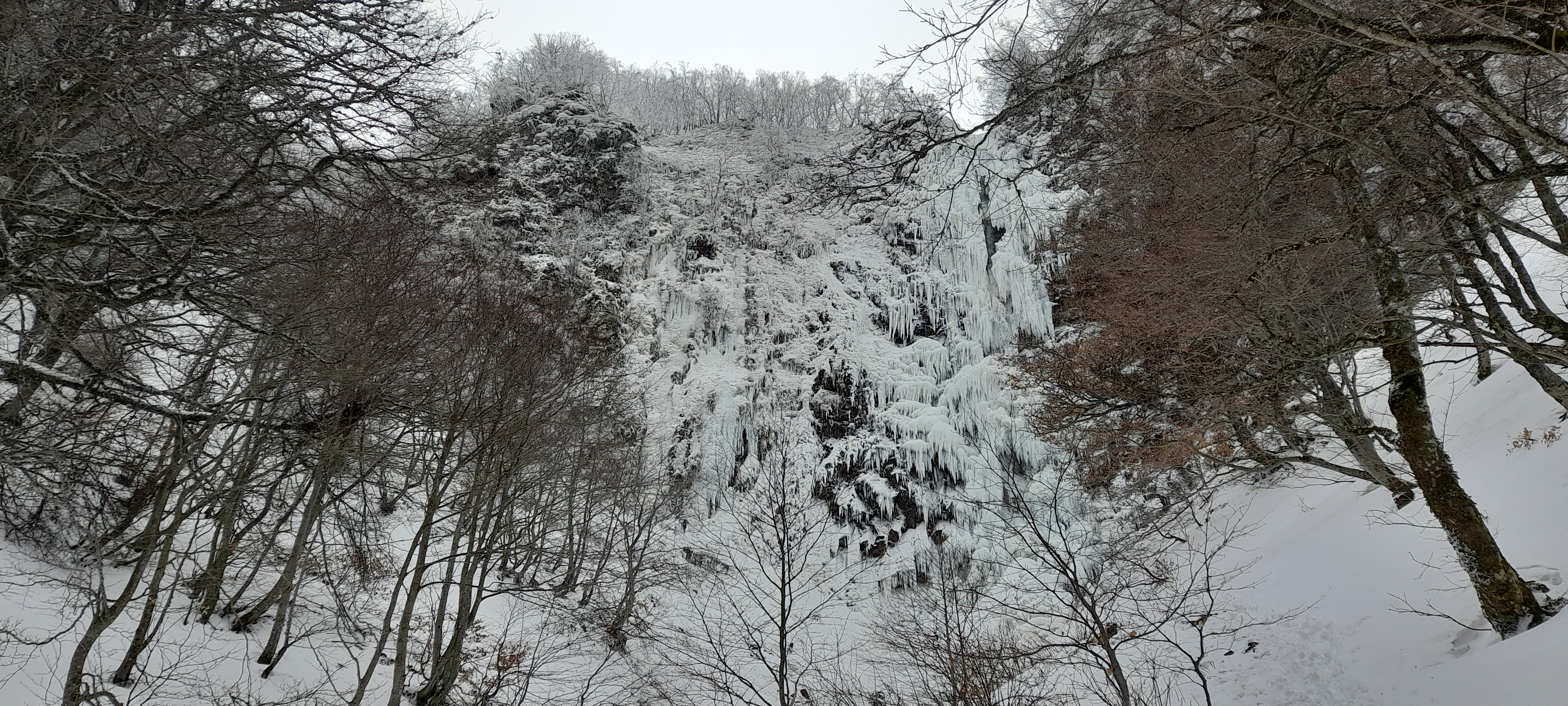 Photo n° 1 de l'avis de Didier.O fait le 01/03/2023 à 17:29