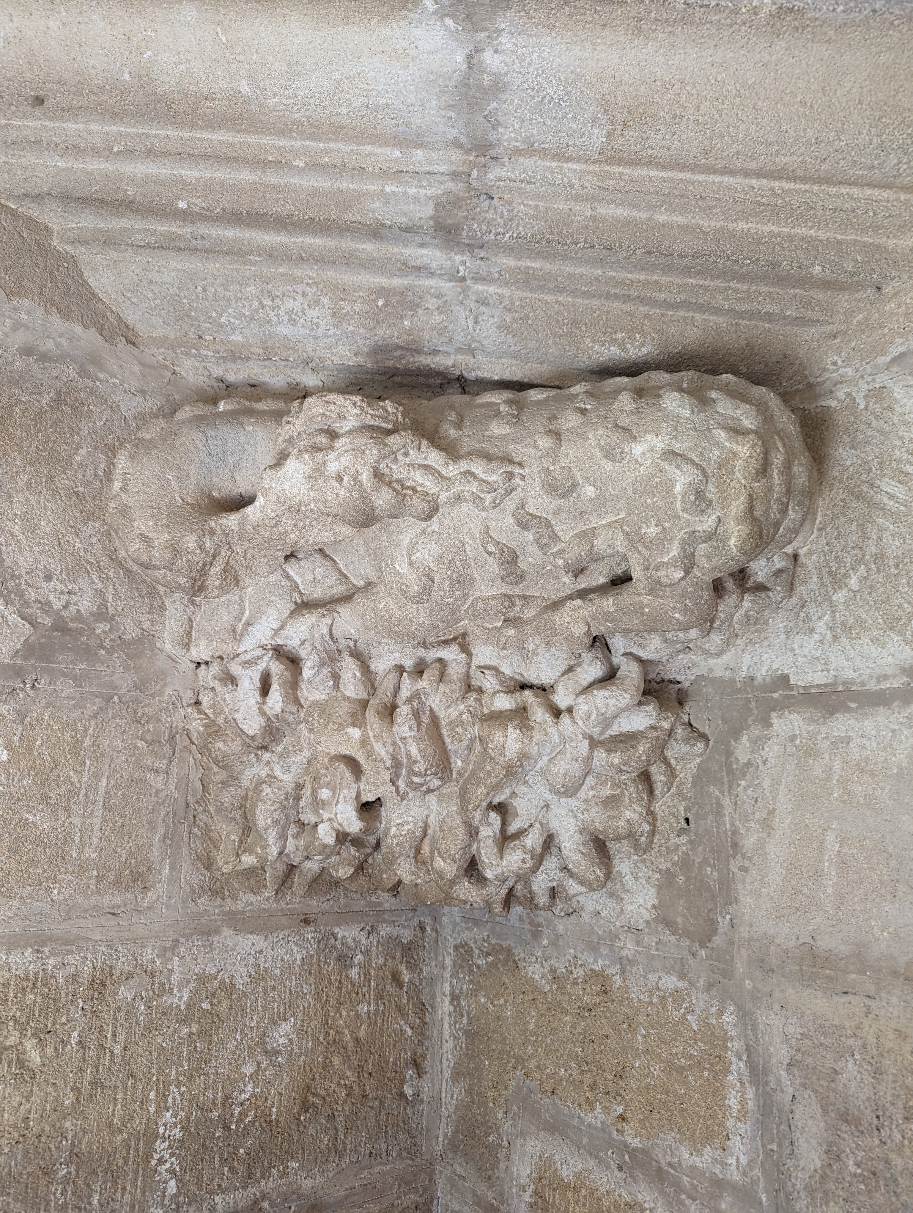 Photo n° 3 de l'avis de Manuel.e fait le 22/07/2023 à 19:21