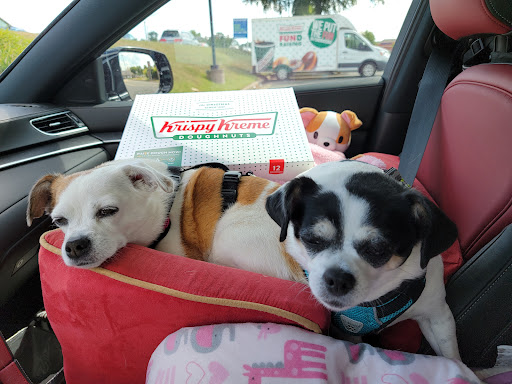 Bakery «Krispy Kreme Doughnuts», reviews and photos, 9870 Liberia Ave, Manassas, VA 20110, USA