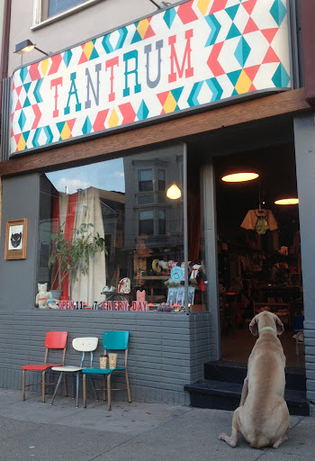 Toy Store «TANTRUM», reviews and photos, 858 Cole St, San Francisco, CA 94117, USA