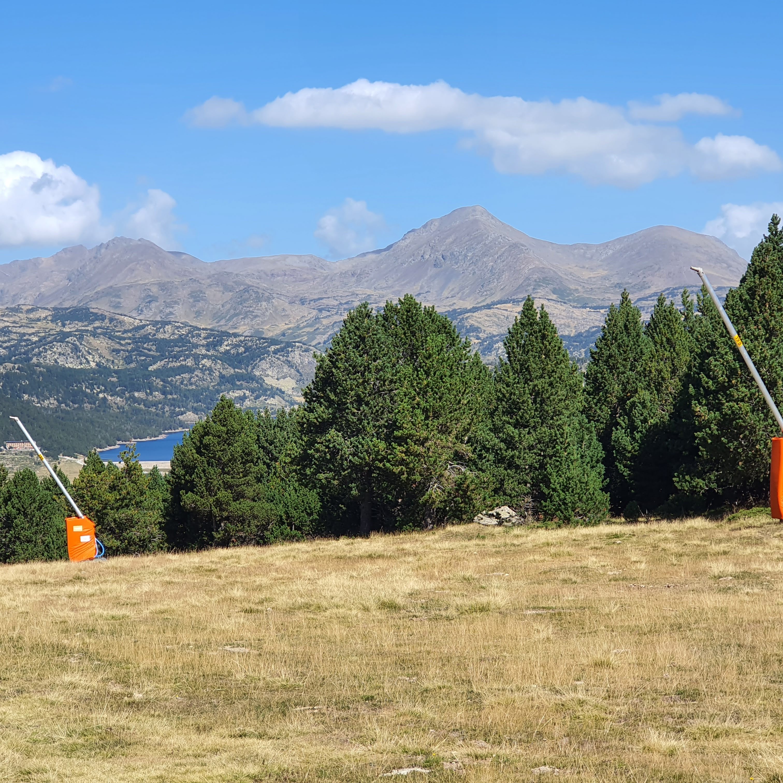 Photo n° 34 de l'avis de Gazelle.a fait le 30/09/2023 à 16:47