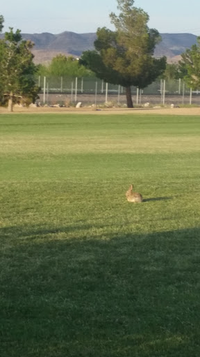 Golf Club «Black Mountain Golf & Country Club», reviews and photos, 500 Greenway Rd, Henderson, NV 89015, USA