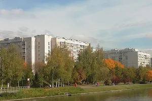 Butovskiy Park image