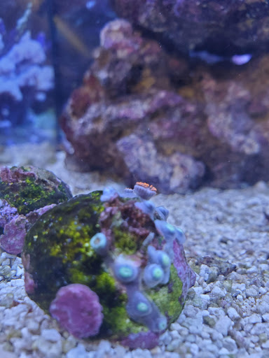 Pet Supply Store «Petco Animal Supplies», reviews and photos, 2140 E Blvd St, Kokomo, IN 46902, USA