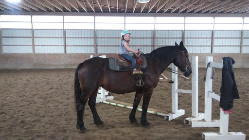 Horse Riding School «Horseng Farm LLC», reviews and photos, 6475 Warden Rd, New Tripoli, PA 18066, USA