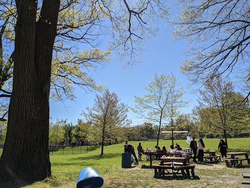 Park «Christopher Morley Park», reviews and photos, 500 Searingtown Rd N, Roslyn, NY 11576, USA