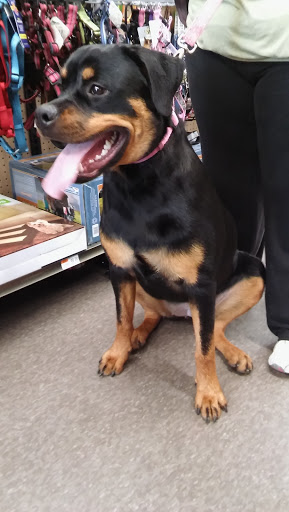 Pet Supply Store «Pet Supplies Plus», reviews and photos, 3701 S Orlando Dr, Sanford, FL 32773, USA