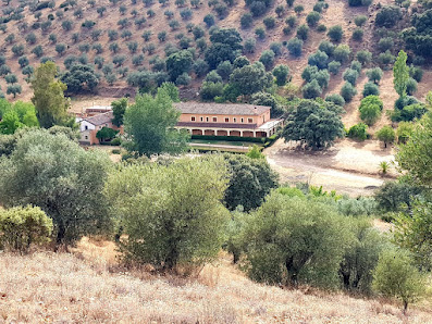 Casa rural Baños de Vivaque (ubicación real) 45660 Belvís de la Jara, Toledo, España