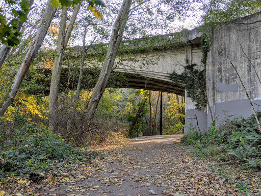 Park «Schmitz Preserve Park», reviews and photos, 5551 SW Admiral Way, Seattle, WA 98116, USA