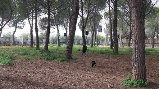 Parco per cani Catania