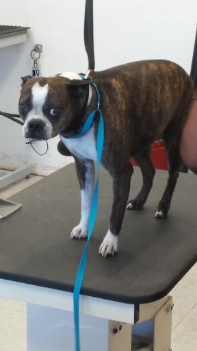 Pet Supply Store «Petco Animal Supplies», reviews and photos, 161 Plaza Dr, Vallejo, CA 94591, USA