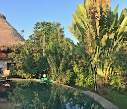 The Sayan House photo