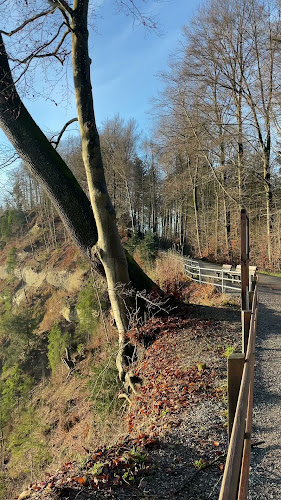 Höckler Trail by Züritrails - Fahrradgeschäft