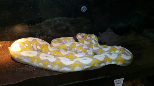 Pet Store «Pet Land», reviews and photos, 1450 Fort Campbell Blvd, Clarksville, TN 37042, USA