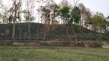 Islamabad Tea Garden