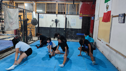 Club de kickboxing y boxeo jacarandas SIPDUL KRAV MAGA