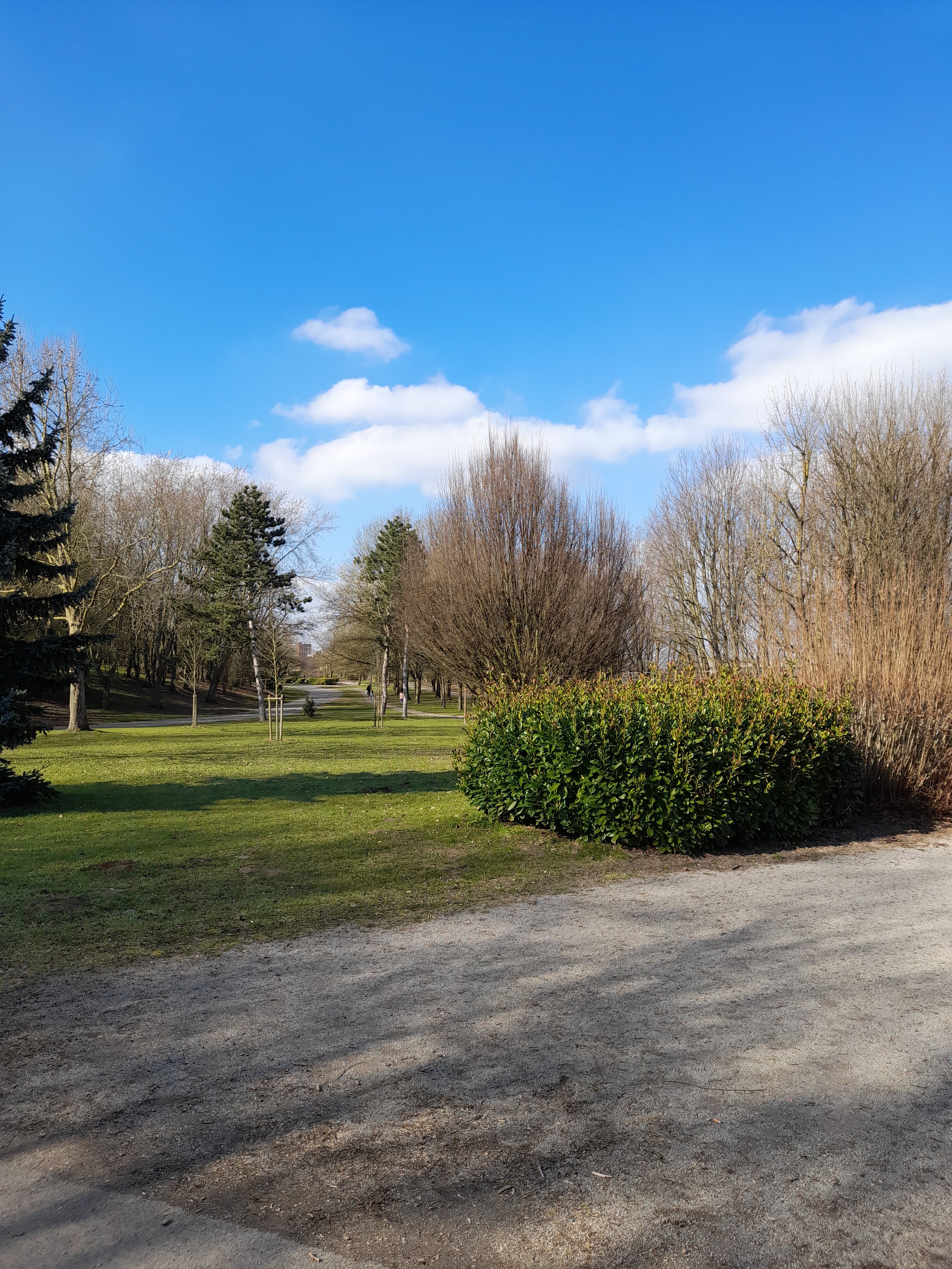 Photo n° 12 de l'avis de Annick.r fait le 10/03/2021 à 14:46