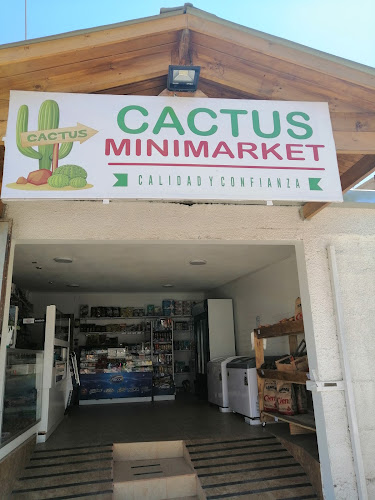 MiniMarket Cactus - Copiapó