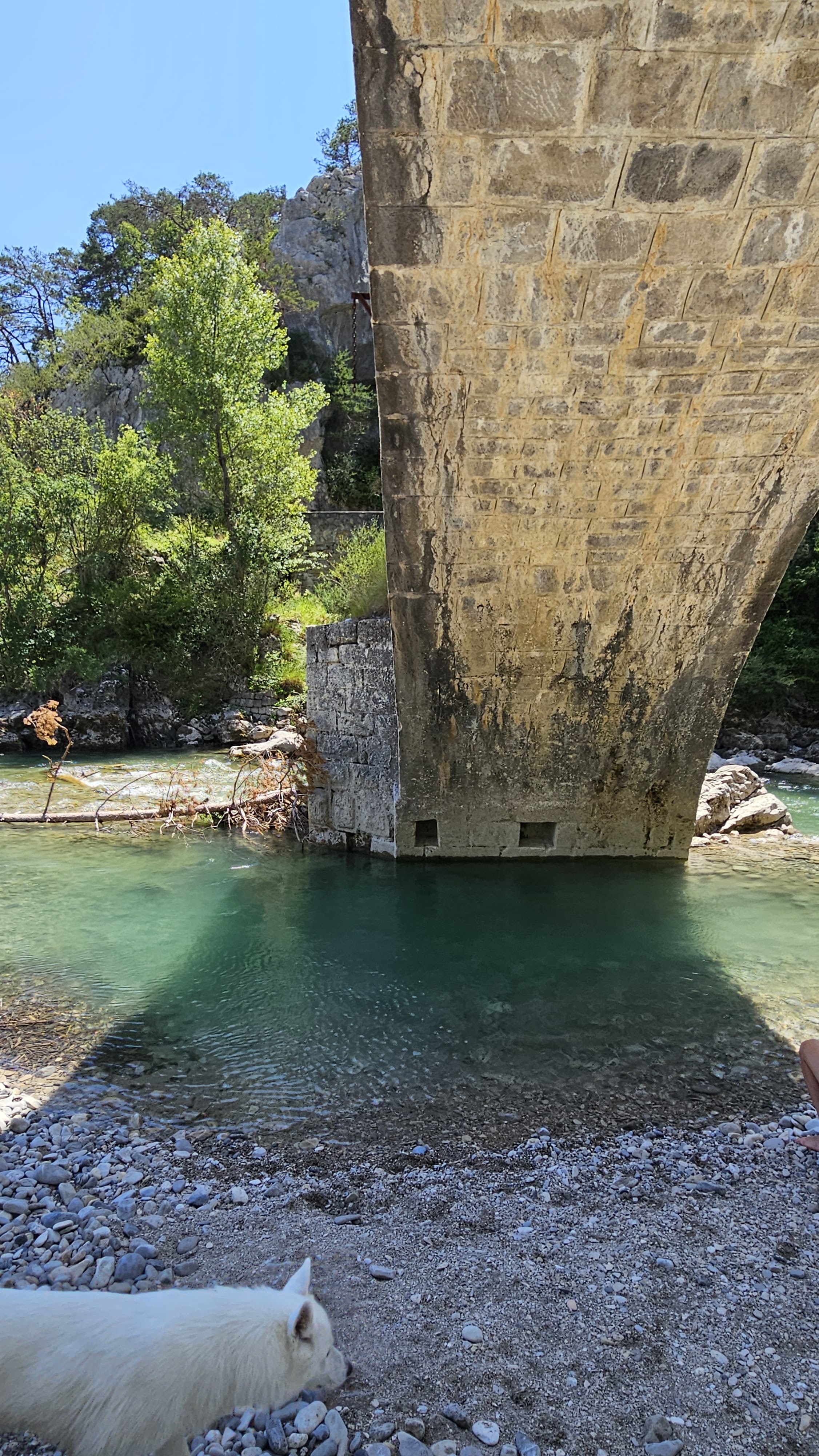 Photo n° 4 de l'avis de E. fait le 28/02/2024 à 07:02