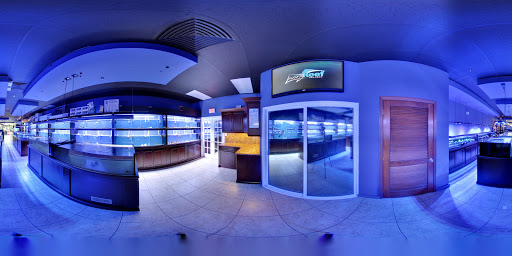 Tropical Fish Store «Living Reef Orlando», reviews and photos, 504 N Alafaya Trail #112, Orlando, FL 32828, USA