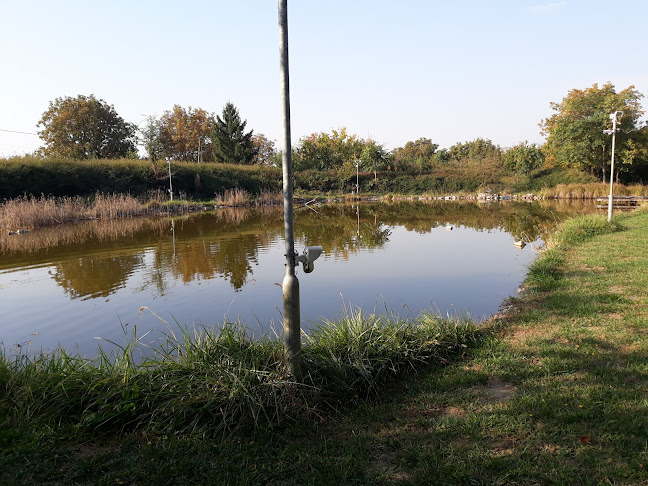 Értékelések erről a helyről: Békéscsaba Almáskerti Ipari Park, Békéscsaba - Építőipari vállalkozás