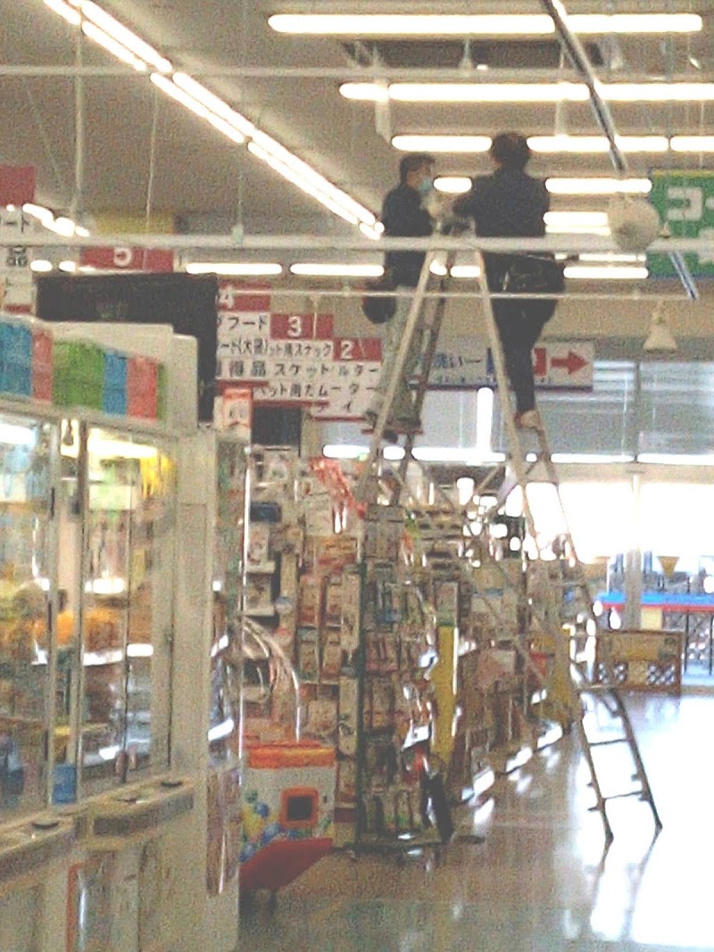 コーナン商事 株 本部 大阪府大阪市淀川区西宮原 企業のオフィス グルコミ