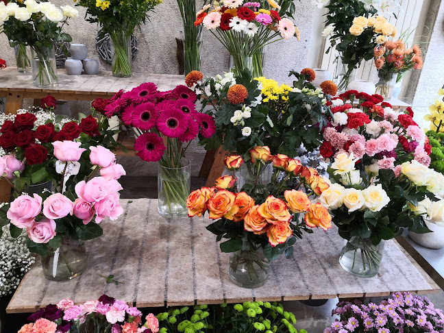 Commentaires et avis sur Carole Braun Fleuriste
