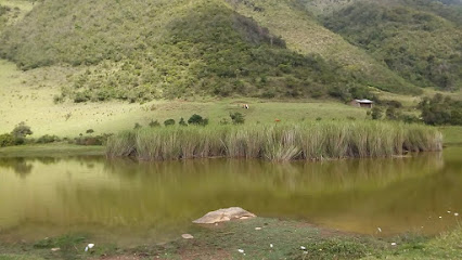 Laguna Udima