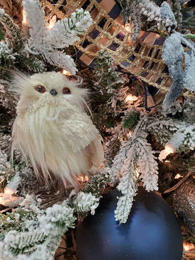 Hardware Store «Haynes Hardware Inc», reviews and photos, 1085 Morningside Dr, Conway, AR 72034, USA