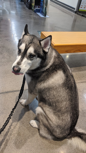 Pet Supply Store «Petco Animal Supplies», reviews and photos, 3452 W Chandler Blvd, Chandler, AZ 85226, USA