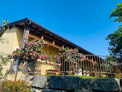 Domaine gîte pélerins des Mathieux à Labastide-Marnhac