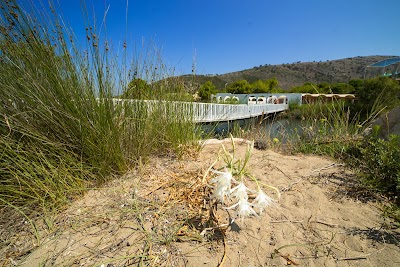 Photos of Kalogria Beach
