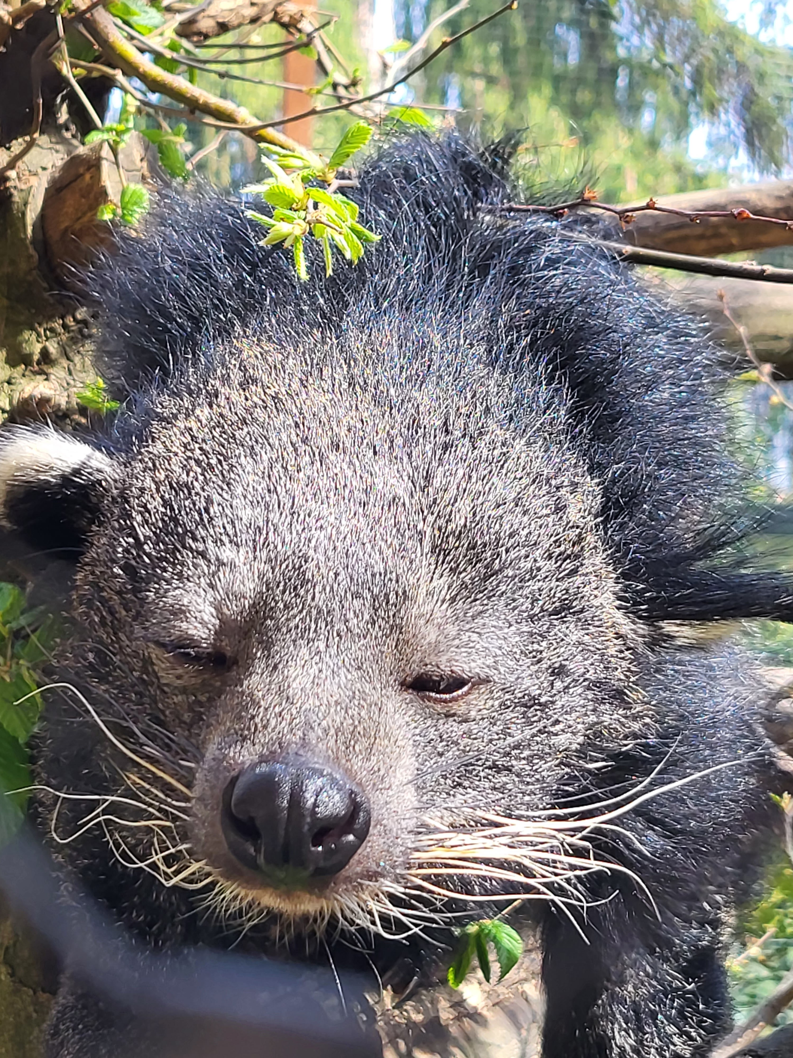 Photo n° 4 de l'avis de Nadine. fait le 16/04/2023 à 13:06