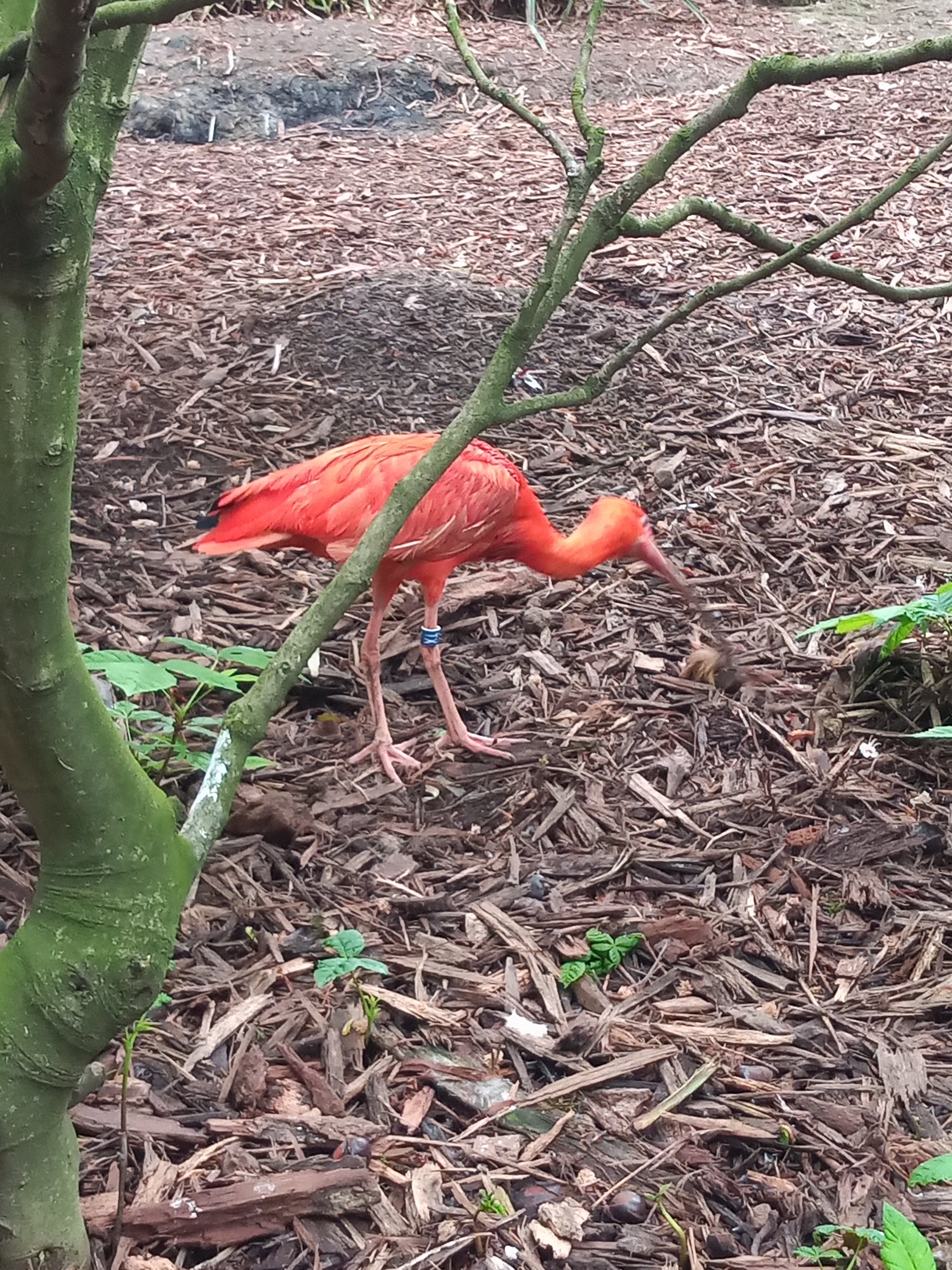 Photo n° 4 de l'avis de Guilo.H fait le 07/05/2023 à 20:22