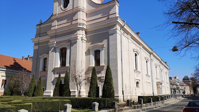 Opinii despre Biserica reformată cu lanțuri din Satu Mare în <nil> - Grădiniță