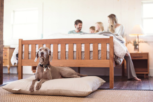 Futon Store «The Futon Shop», reviews and photos, 4898 El Camino Real, Los Altos, CA 94022, USA