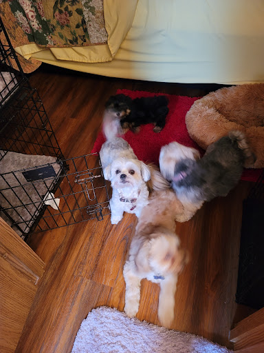 Pet Supply Store «Nature Boys Farm & Pet Supply», reviews and photos, 17022 Pacific Ave S, Spanaway, WA 98387, USA