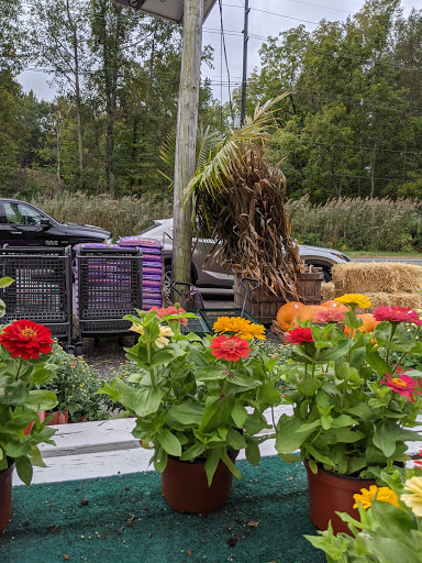 Market «Green Top Farm Market», reviews and photos, 1811 NJ-70, Southampton Township, NJ 08088, USA