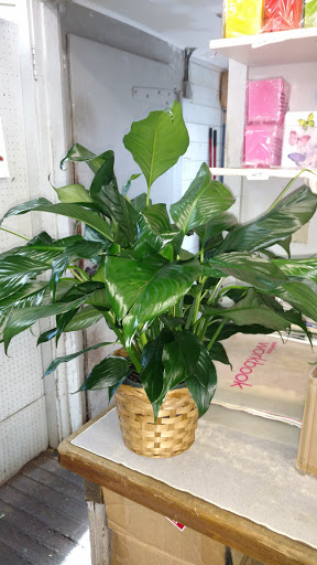 Florist «Country Flower Shop», reviews and photos, 3101 E Layton Ave, Cudahy, WI 53110, USA